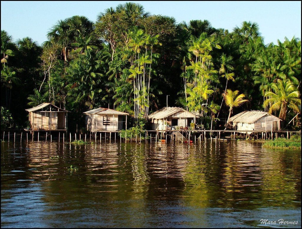 Casas Ribeirinhas na Amazônia - Foto de Mara Hermes